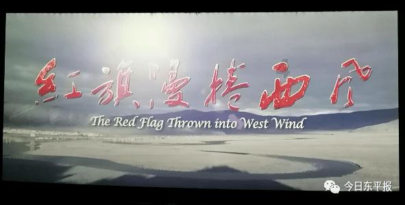呆萌动物园